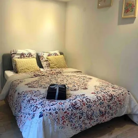 Magnifique Maison De Tatil Evi *